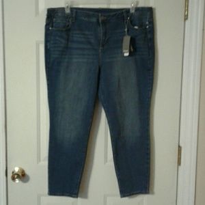 Sears Clasic Plus Size Skinny Jeans